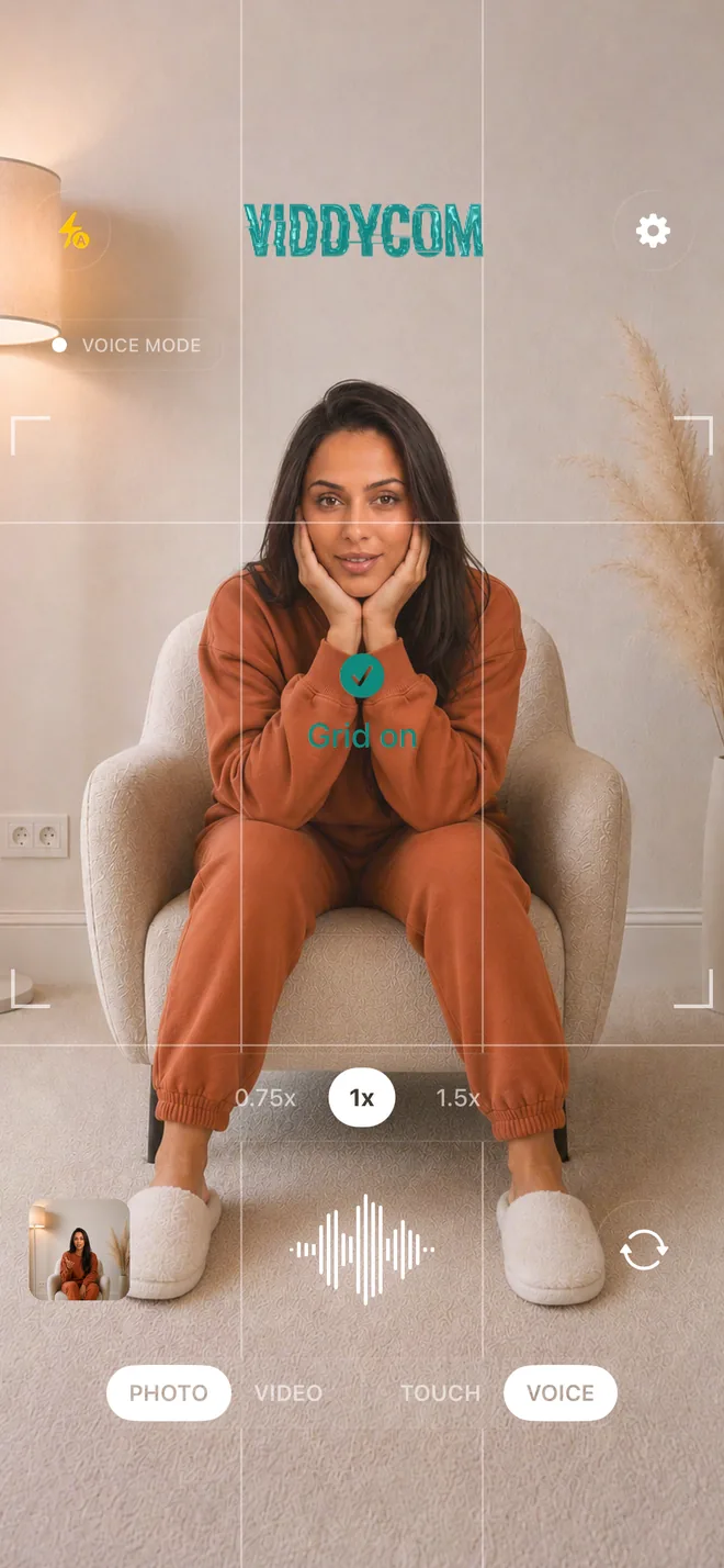 Viddycom's composition grid switched on over the camera view